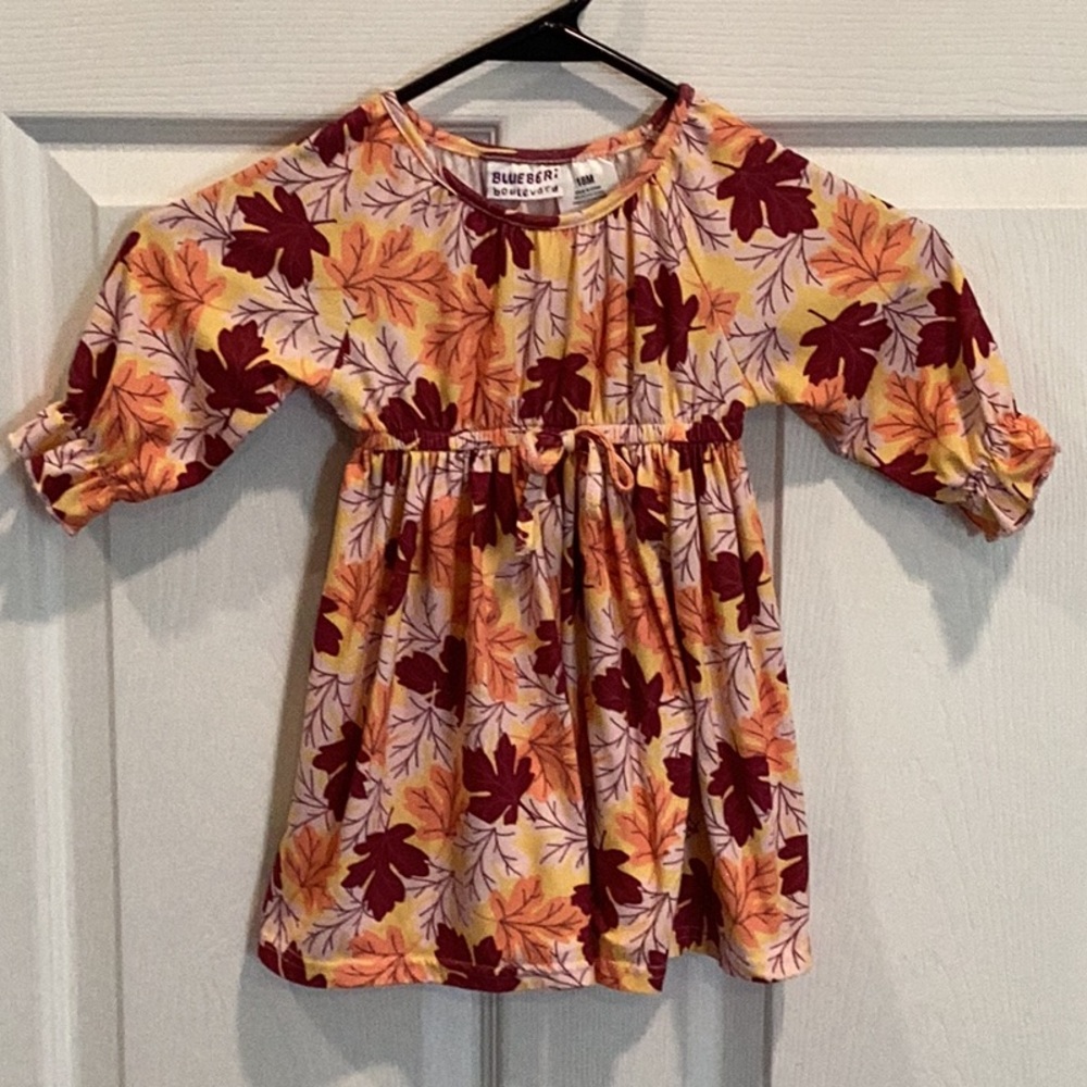 Blueberi Floral dress with Puff Sleeves
